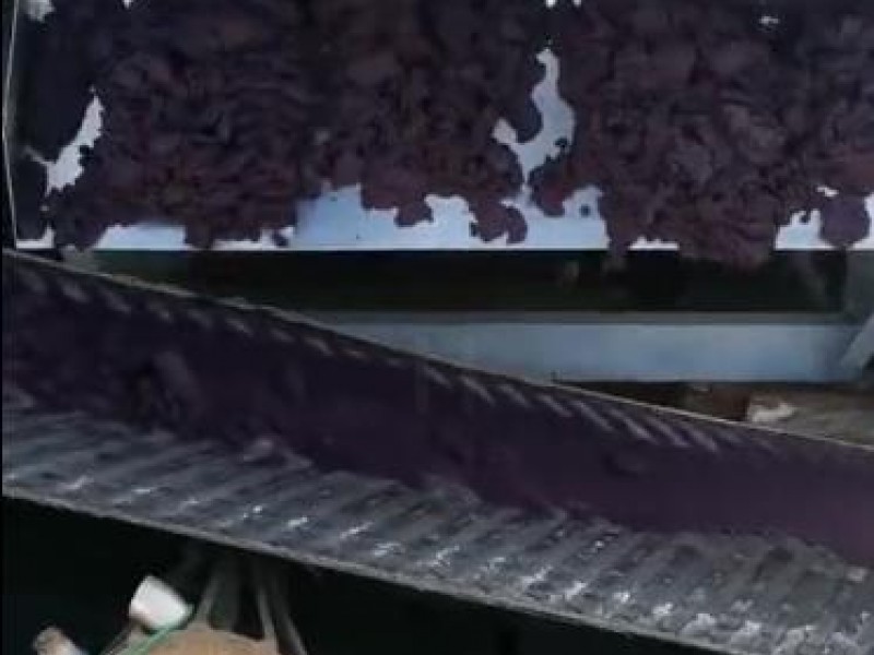 污水處理廠污泥處理現(xiàn)場(chǎng)